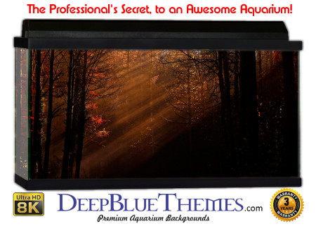 Buy Aquarium Background Uhd 055 Aquarium Background