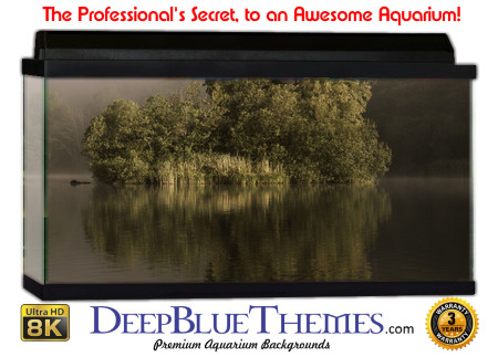 Buy Aquarium Background Uhd 059 Aquarium Background