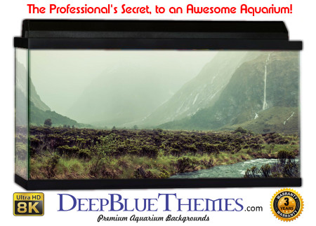 Buy Aquarium Background Uhd 061 Aquarium Background