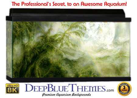 Buy Aquarium Background Uhd 062 Aquarium Background