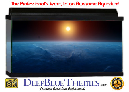 Buy Aquarium Background Uhd 064 Aquarium Background