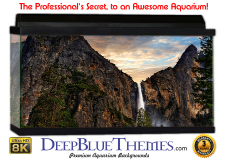 Buy Aquarium Background Uhd 066 Aquarium Background