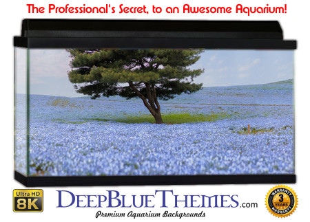 Buy Aquarium Background Uhd 067 Aquarium Background