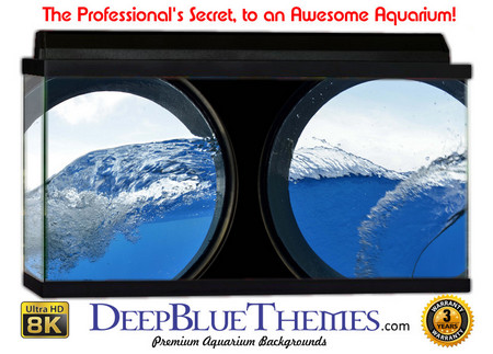 Buy Aquarium Background Underwater Porthole Aquarium Background