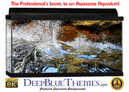 Buy Aquarium Background Unusual Abstract Aquarium Background