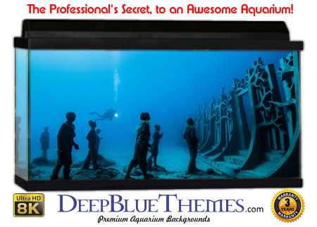 Buy Aquarium Background Unusual Army Aquarium Background