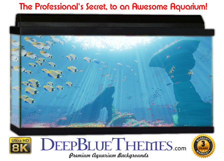 Buy Aquarium Background Unusual Art Aquarium Background
