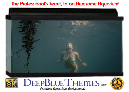 Buy Aquarium Background Unusual Ascend Aquarium Background