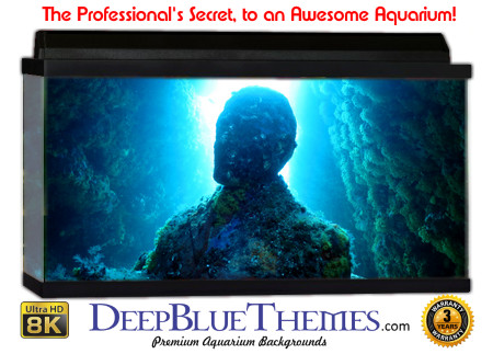 Buy Aquarium Background Unusual Bust Aquarium Background