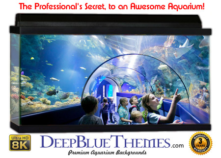Buy Aquarium Background Unusual Children Aquarium Background