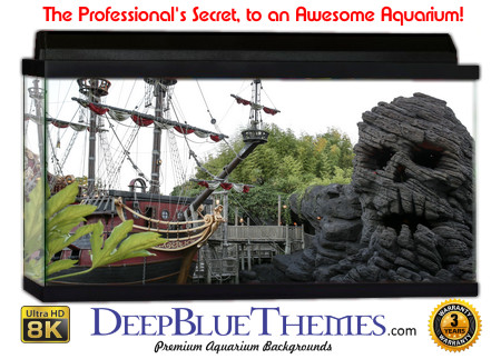 Buy Aquarium Background Unusual Cove Aquarium Background