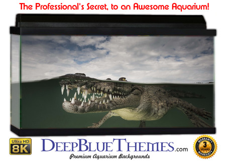 Buy Aquarium Background Unusual Crock Aquarium Background