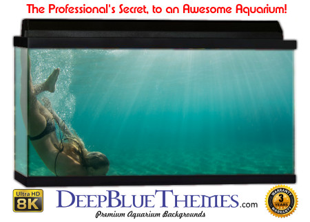 Buy Aquarium Background Unusual Deep Aquarium Background