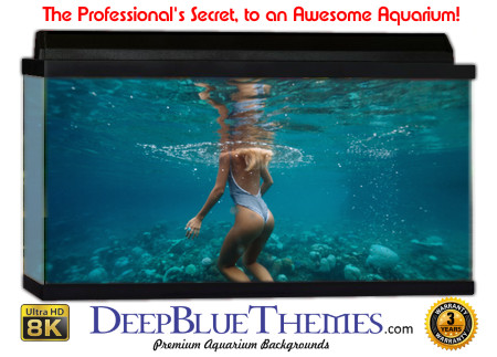 Buy Aquarium Background Unusual Dip Aquarium Background