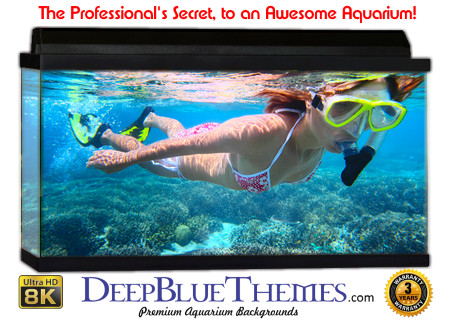 Buy Aquarium Background Unusual Diver Aquarium Background