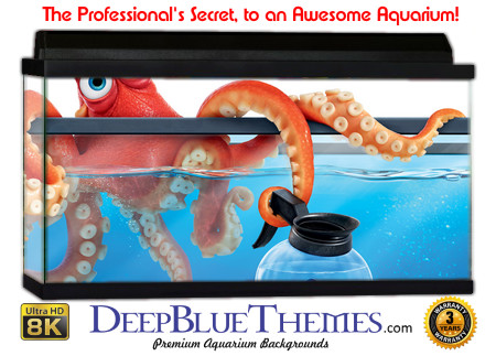 Buy Aquarium Background Unusual Dory Aquarium Background