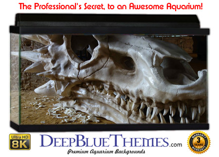 Buy Aquarium Background Unusual Dragon Aquarium Background