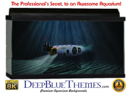 Buy Aquarium Background Unusual Drone Aquarium Background