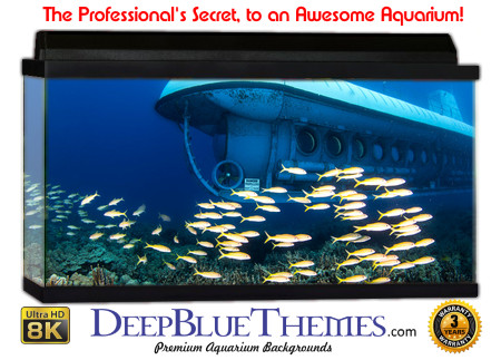 Buy Aquarium Background Unusual Explore Aquarium Background