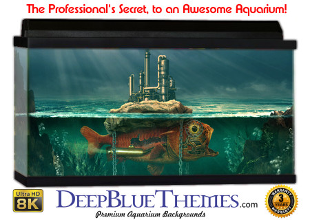 Buy Aquarium Background Unusual Fish Aquarium Background