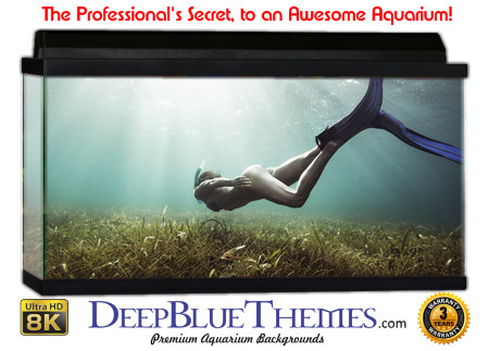 Buy Aquarium Background Unusual Flippers Aquarium Background