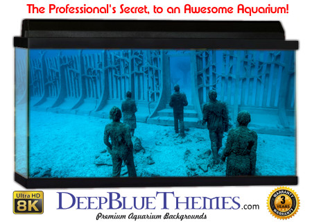 Buy Aquarium Background Unusual Gate Aquarium Background