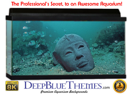Buy Aquarium Background Unusual Headless Aquarium Background