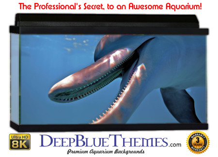 Buy Aquarium Background Unusual Hungry Aquarium Background