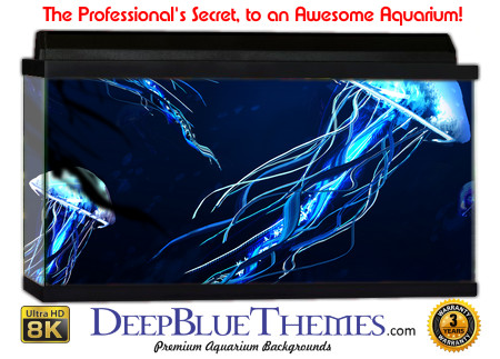 Buy Aquarium Background Unusual Jelly Aquarium Background