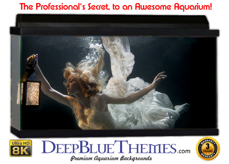 Buy Aquarium Background Unusual Lantern Aquarium Background