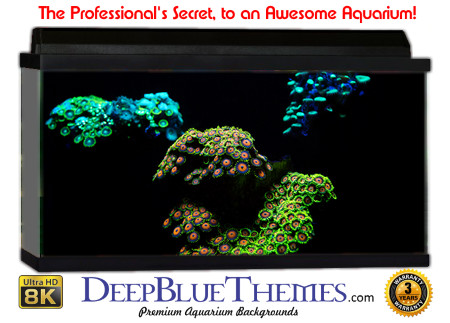 Buy Aquarium Background Unusual Light Aquarium Background