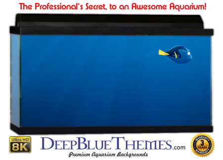 Buy Aquarium Background Unusual Lost Aquarium Background