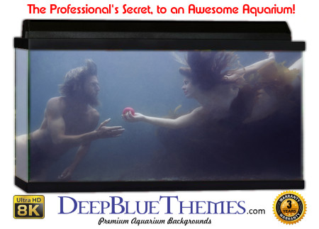 Buy Aquarium Background Unusual Love Aquarium Background