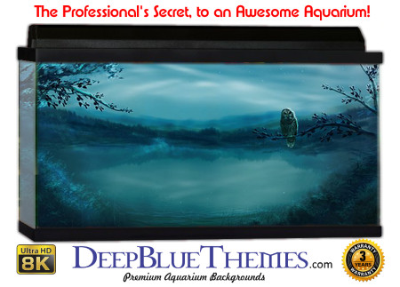 Buy Aquarium Background Unusual Misty Aquarium Background