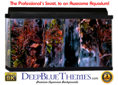 Buy Aquarium Background Unusual Odd Aquarium Background