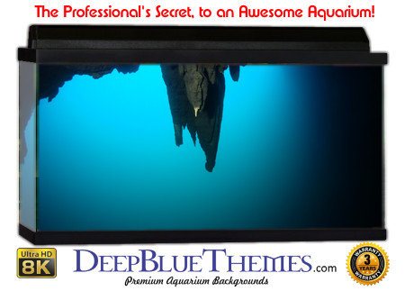 Buy Aquarium Background Unusual Overhang Aquarium Background