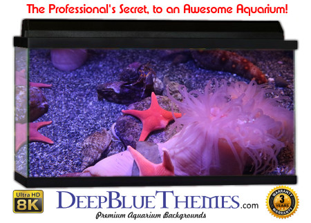 Buy Aquarium Background Unusual Pink Aquarium Background
