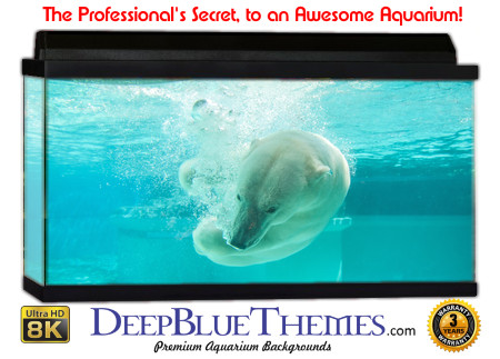 Buy Aquarium Background Unusual Play Aquarium Background