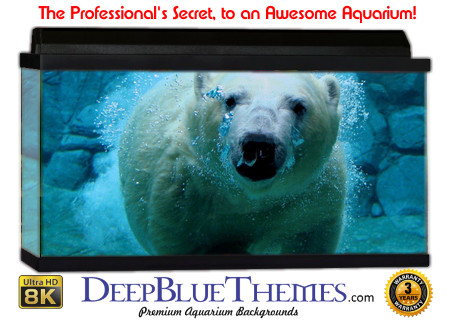 Buy Aquarium Background Unusual Polar Aquarium Background