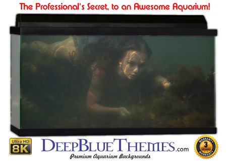 Buy Aquarium Background Unusual Search Aquarium Background