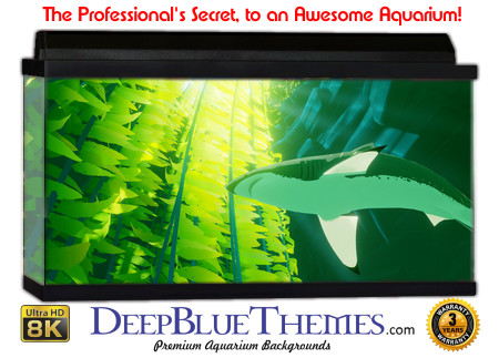 Buy Aquarium Background Unusual Shark Aquarium Background
