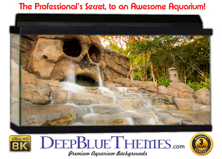 Buy Aquarium Background Unusual Skullcave Aquarium Background