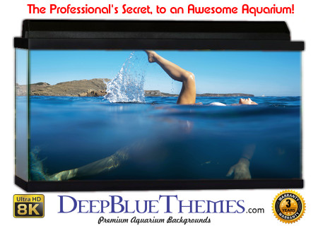 Buy Aquarium Background Unusual Stroke Aquarium Background