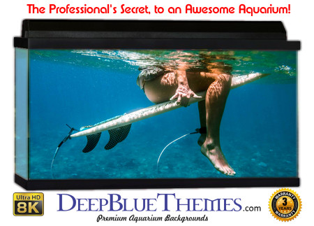 Buy Aquarium Background Unusual Surf Aquarium Background