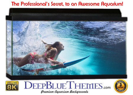 Buy Aquarium Background Unusual Surface Aquarium Background