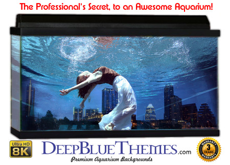 Buy Aquarium Background Unusual Swimmer Aquarium Background