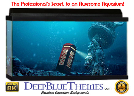 Buy Aquarium Background Unusual Tardis Aquarium Background