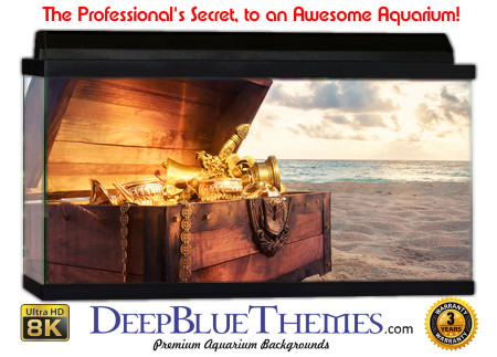 Buy Aquarium Background Unusual Treasure 001 Aquarium Background