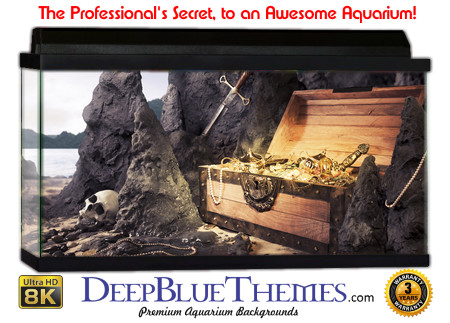 Buy Aquarium Background Unusual Treasure 003 Aquarium Background