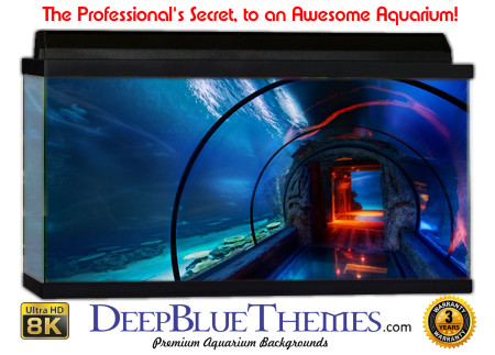 Buy Aquarium Background Unusual Tube Aquarium Background